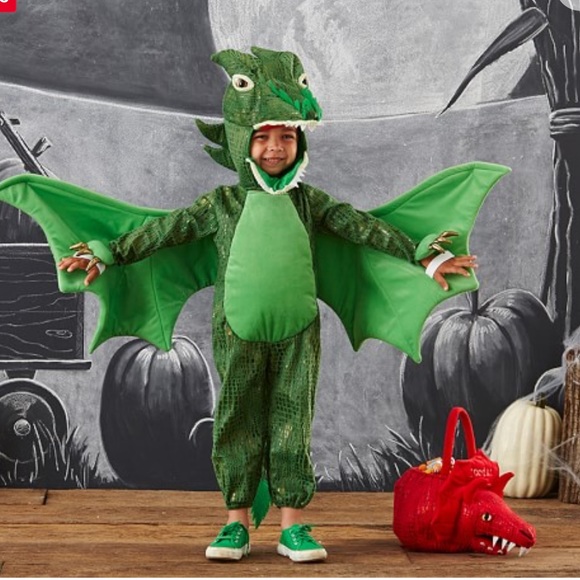 Pottery Barn Kids Costumes Pottery Barn Kids Green Dragon Costume